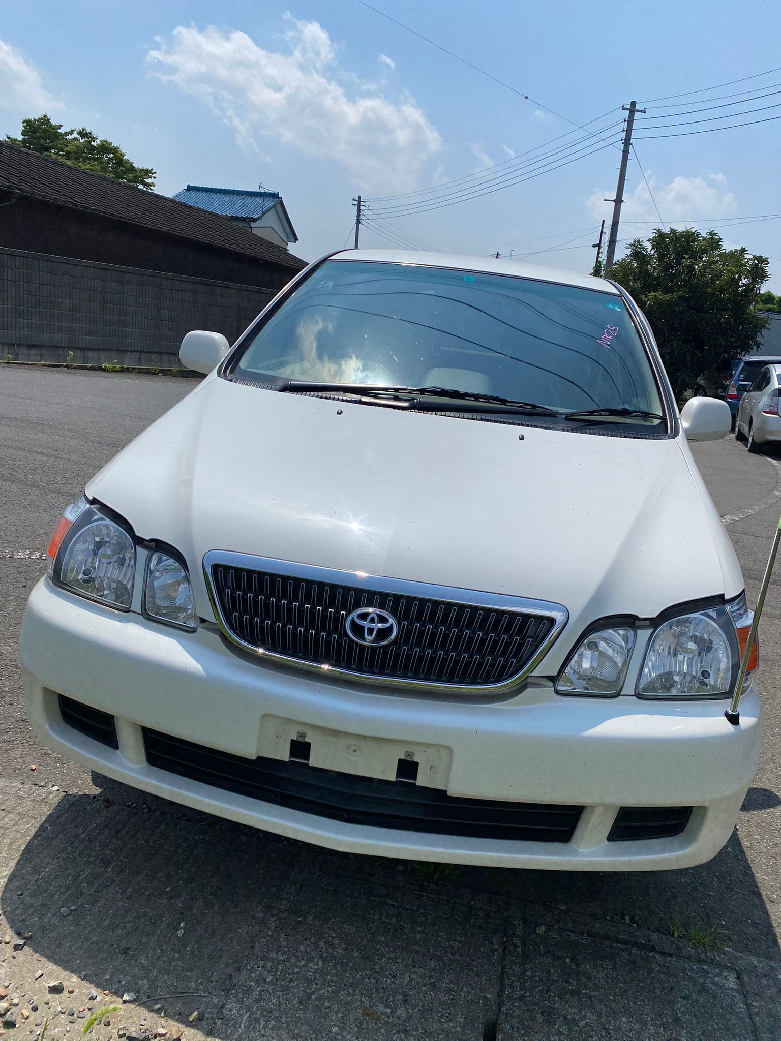 Авто по запчастям на Toyota Gaia ACM10G