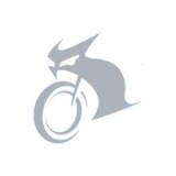 Логотип Синергосмото