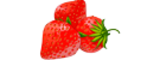 Логотип RADIANT BERRY