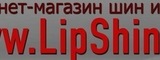 Логотип Lipshina.ru