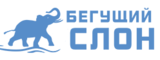 Логотип Бегущий слон – дубликаты номеров