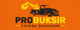 Логотип Probuksir