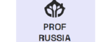 Логотип Профессионалы России