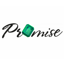 Логотип Promise