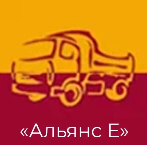 Логотип ООО «Альянс Е»