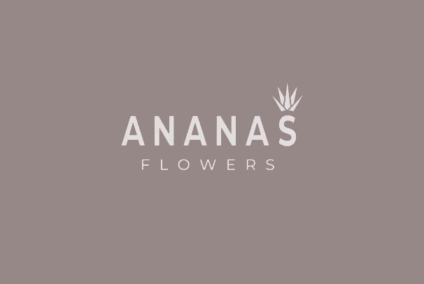 Логотип Ananas Flowers
