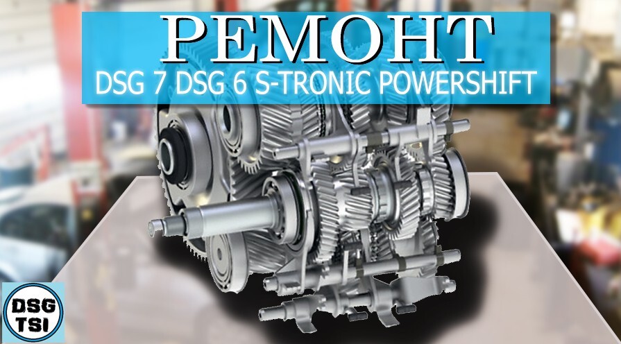 Логотип DSG-TSI