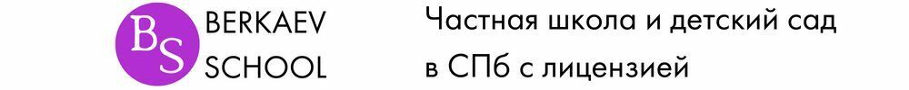 Логотип Berkaev School
