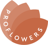 Логотип ProFlowers