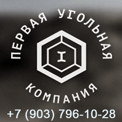 Логотип Первая Угольная Компания