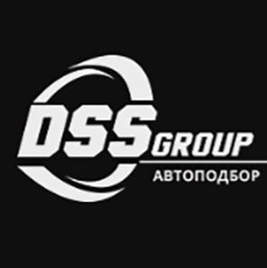 Логотип DSS Group