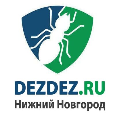 Логотип ООО "ДезДез" Нижний Новгород