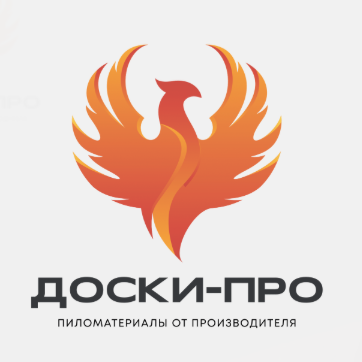 Логотип ООО "Доски-Про"