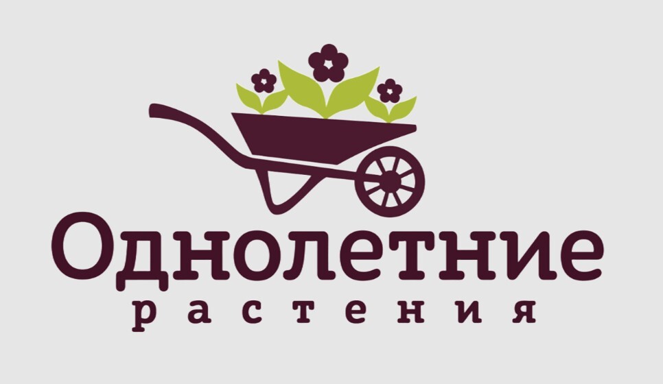 Логотип Однолетние растения - питомник растений в Москве
