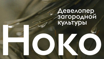 Логотип НОКО