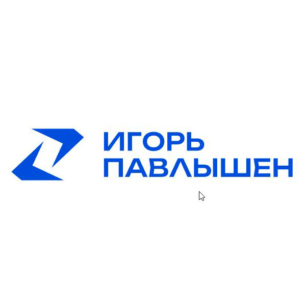 Логотип Директолог Игорь Павлышен