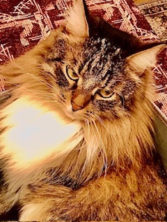 Логотип КОЭМЗ ООО