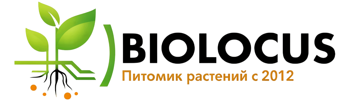 Логотип компании
