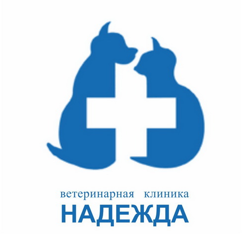 Ветаптека Владивосток Интернет Магазин